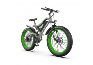 Aostirmotor S18 750W Full-Suspension Electric Mountain Bike