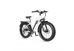 Dirwin Seeker 750W Step-Thru Fat Tire Electric Bike w/ Twist Throttle
